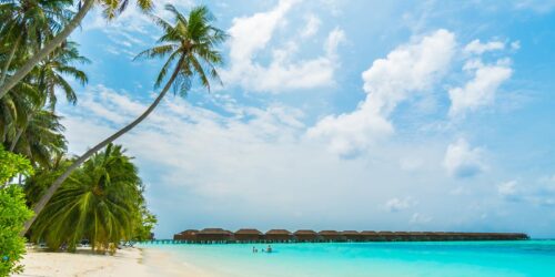 Χριστουγεννιάτικη  έκθεση με ευφάνταστες χειροποίητες καλλιτεχνικές δημιουργίες δια χειρός του Λυκείου των Ελληνίδων Βόλου