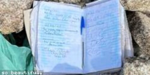 Title 8